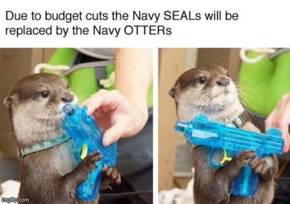 Navy | image tagged in us navy,navy seals | made w/ Imgflip meme maker