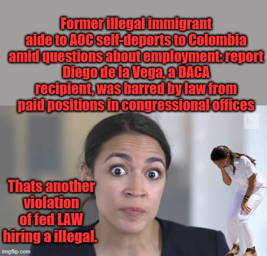 Arrest her and prosecute. Shes a employer who violated fed law. NO ONES ABOVE THE LAW. case closed | Former illegal immigrant aide to AOC self-deports to Colombia amid questions about employment: report
Diego de la Vega, a DACA recipient, was barred by law from paid positions in congressional offices; Thats another violation of fed LAW hiring a illegal. | image tagged in crazy alexandria ocasio-cortez | made w/ Imgflip meme maker