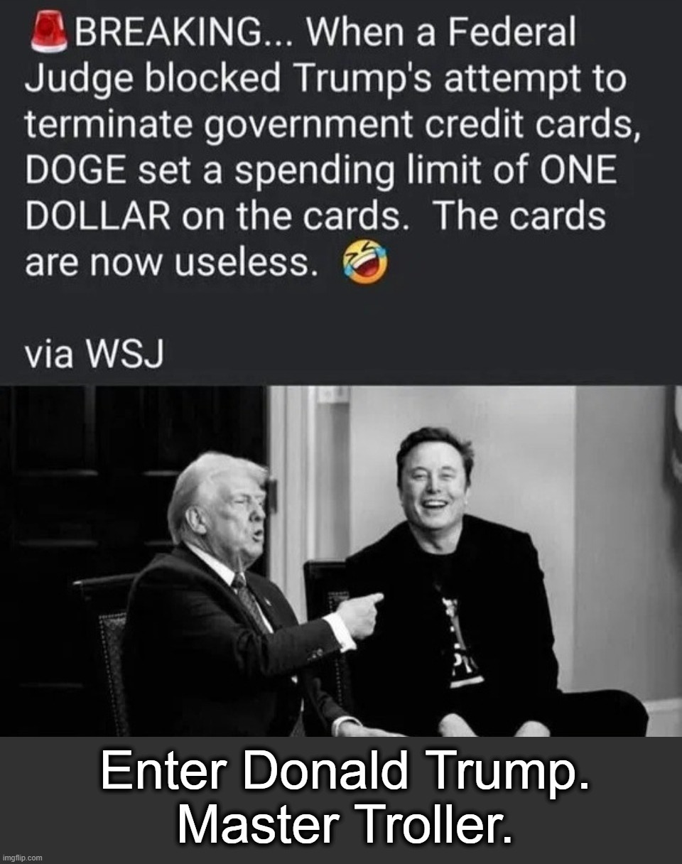 Enter Donald Trump. Master Troller. | image tagged in donald trump,master troller,fafo,sjw triggered,crying democrats,crying liberal | made w/ Imgflip meme maker