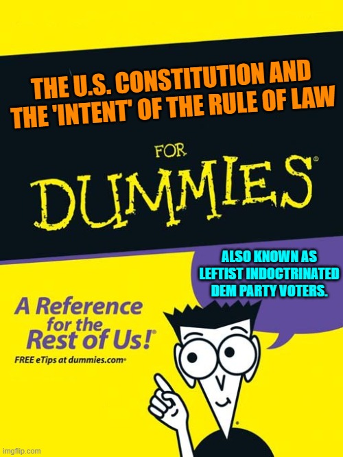 Got leftist activist judges? | THE U.S. CONSTITUTION AND THE 'INTENT' OF THE RULE OF LAW; ALSO KNOWN AS LEFTIST INDOCTRINATED DEM PARTY VOTERS. | image tagged in for dummies book | made w/ Imgflip meme maker