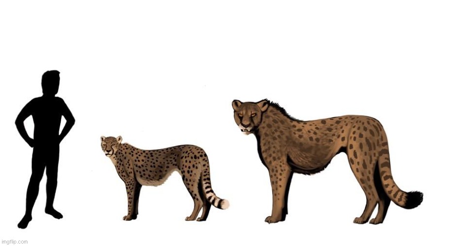 yeah the prehistoric giant cheetah is defiantly a real life Zechariah from zoophobia | image tagged in paleoart,paleomeme,cheetah,zoophobia | made w/ Imgflip meme maker