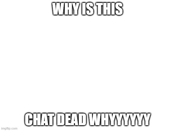 WHY IS THIS; CHAT DEAD WHYYYYYY | made w/ Imgflip meme maker