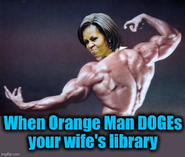 Mike ANGRY! | When Orange Man DOGEs
your wife's library | image tagged in memes,michelle obama,barack 0bama,shoulders,doge,library | made w/ Imgflip meme maker