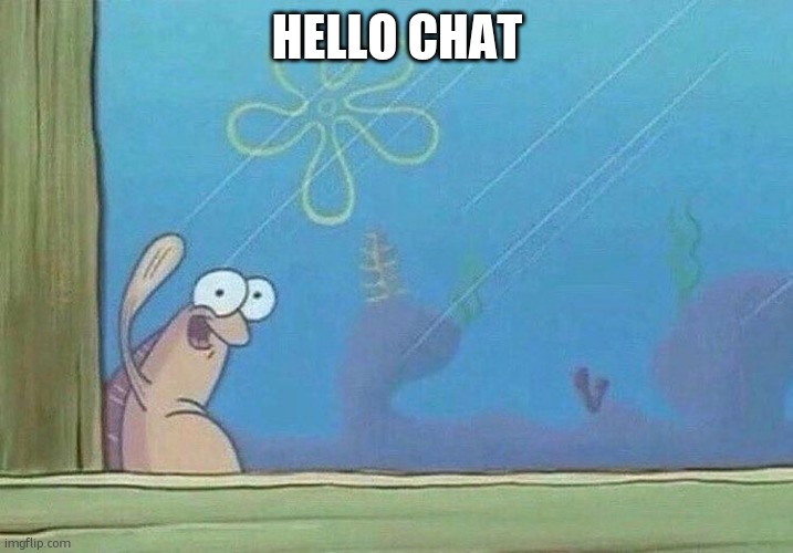 hello chat | HELLO CHAT | image tagged in hello chat | made w/ Imgflip meme maker