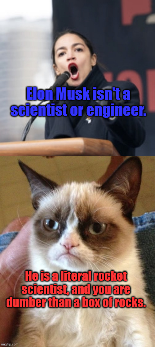 Rocket Scientist | Elon Musk isn't a scientist or engineer. He is a literal rocket scientist, and you are dumber than a box of rocks. | image tagged in aoc,memes,grumpy cat | made w/ Imgflip meme maker