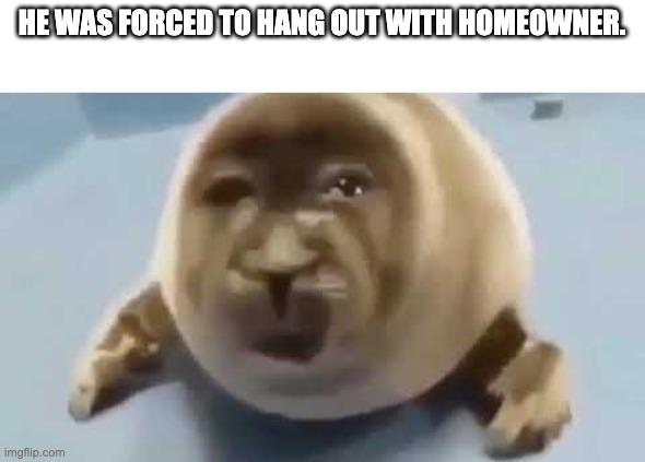 idk what his problem is lol | HE WAS FORCED TO HANG OUT WITH HOMEOWNER. | image tagged in forced seal | made w/ Imgflip meme maker