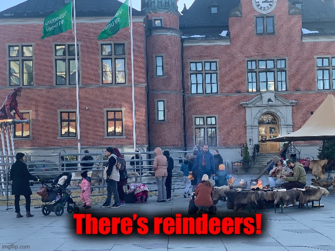 There’s reindeers! | made w/ Imgflip meme maker