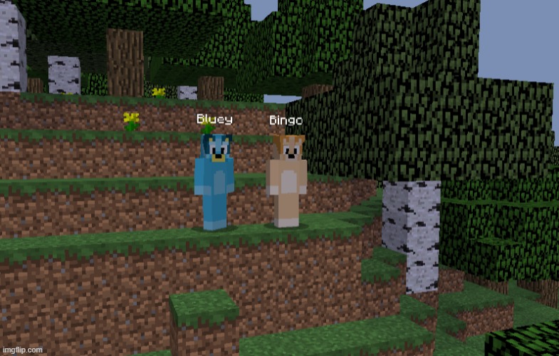 I Found Bluey & Bingo in Minecraft! | image tagged in i found bluey bingo in minecraft | made w/ Imgflip meme maker