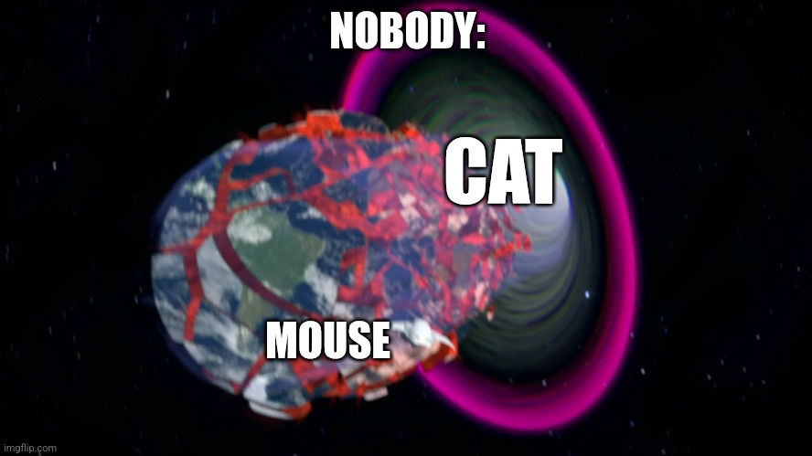 Cats Be Like That | NOBODY:; CAT; MOUSE | image tagged in black hole generator eating earth,jpfan102504 | made w/ Imgflip meme maker