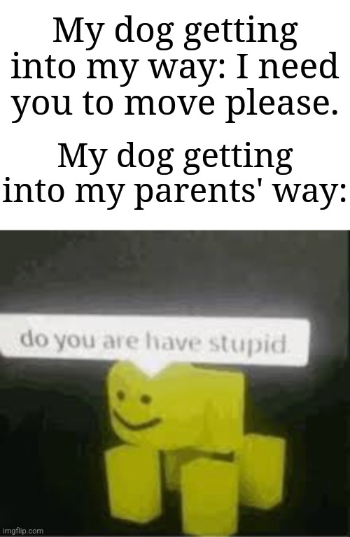 My dog will always get into my way, but my parents would be annoyed about it. | My dog getting into my way: I need you to move please. My dog getting into my parents' way: | image tagged in do you are have stupid,memes,funny,dogs | made w/ Imgflip meme maker
