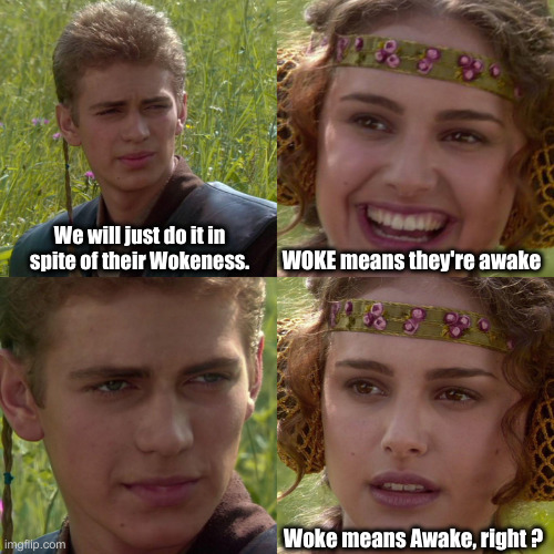 Anakin Padme 4 Panel | We will just do it in spite of their Wokeness. WOKE means they're awake Woke means Awake, right ? | image tagged in anakin padme 4 panel | made w/ Imgflip meme maker