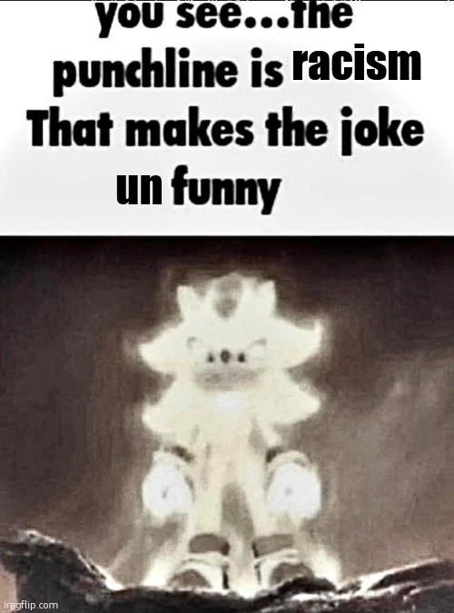 Shadow explains the joke | racism un | image tagged in shadow explains the joke | made w/ Imgflip meme maker