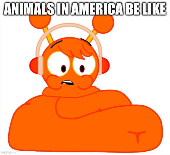 Animals in America be like | ANIMALS IN AMERICA BE LIKE | image tagged in oren is fat,funny,memes,animals,america,fat | made w/ Imgflip meme maker