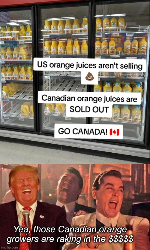 Canadian oranges | Yea, those Canadian orange growers are raking in the $$$$$ | image tagged in trump good fellas laughing,politics lol,memes | made w/ Imgflip meme maker