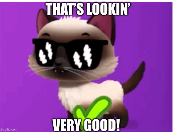 That’s lookin’ very good FLOOF - MY PET HOUSE game meme | THAT’S LOOKIN’; VERY GOOD! | image tagged in games,memes | made w/ Imgflip meme maker