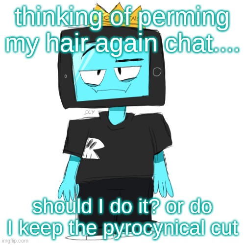 Soy king icyxd | thinking of perming my hair again chat.... should I do it? or do I keep the pyrocynical cut | image tagged in soy king icyxd | made w/ Imgflip meme maker