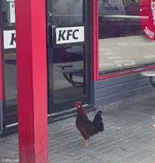 Chicken at KFC | image tagged in chicken at kfc | made w/ Imgflip meme maker