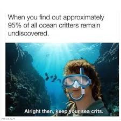 what is this | made w/ Imgflip meme maker