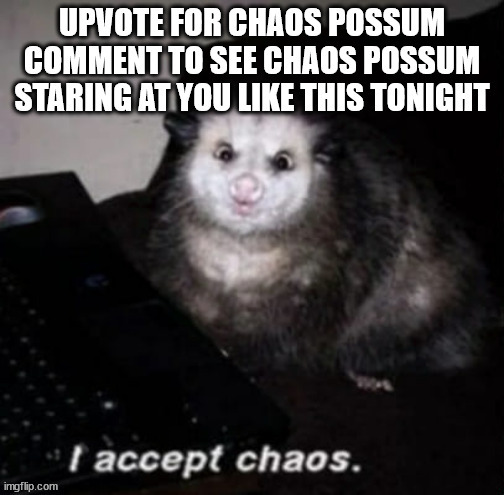 chaos possum | image tagged in chaos | made w/ Imgflip meme maker