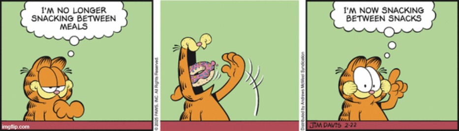 Garfield | image tagged in comics | made w/ Imgflip meme maker