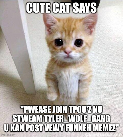 tpou is my user initials. link in comments. | CUTE CAT SAYS; "PWEASE JOIN TPOU'Z NU STWEAM TYLER_WOLF_GANG U KAN POST VEWY FUNNEH MEMEZ" | image tagged in memes,cute cat | made w/ Imgflip meme maker