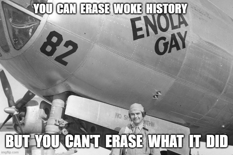 Advice to MAGA | YOU  CAN  ERASE  WOKE  HISTORY; BUT  YOU  CAN'T  ERASE  WHAT  IT  DID | made w/ Imgflip meme maker