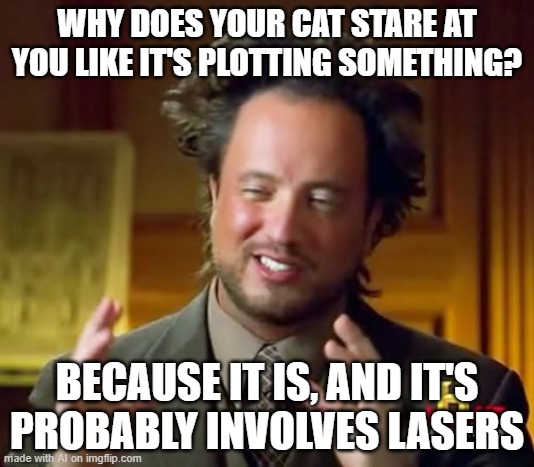 ≣⫴ | WHY DOES YOUR CAT STARE AT YOU LIKE IT'S PLOTTING SOMETHING? BECAUSE IT IS, AND IT'S PROBABLY INVOLVES LASERS | image tagged in blerg | made w/ Imgflip meme maker