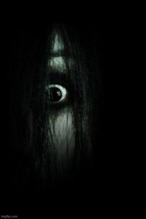 The grudge | image tagged in the grudge | made w/ Imgflip meme maker