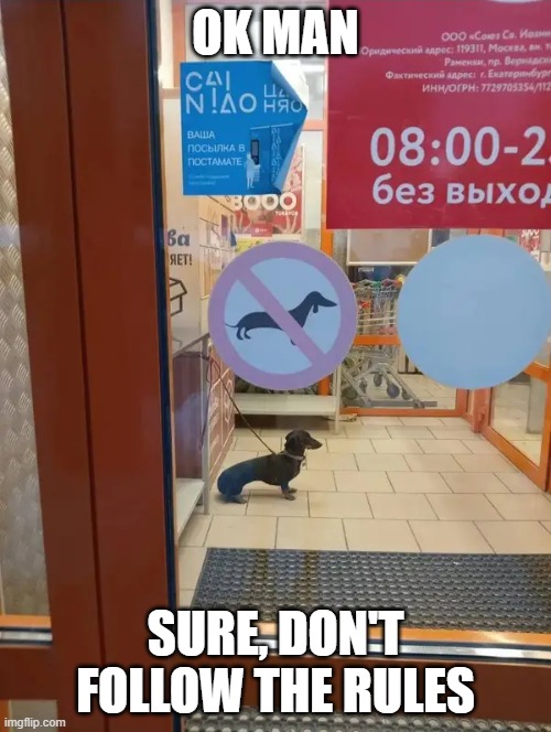 Ok man | OK MAN; SURE, DON'T FOLLOW THE RULES | image tagged in animals | made w/ Imgflip meme maker