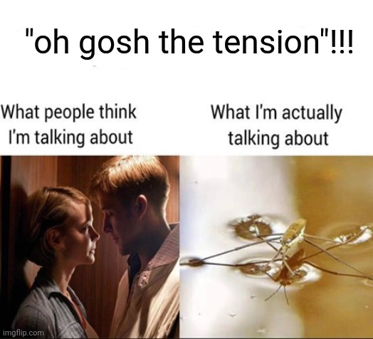 real | "oh gosh the tension"!!! | made w/ Imgflip meme maker