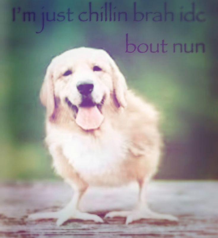 Just chilling man don’t care about nun Blank Meme Template