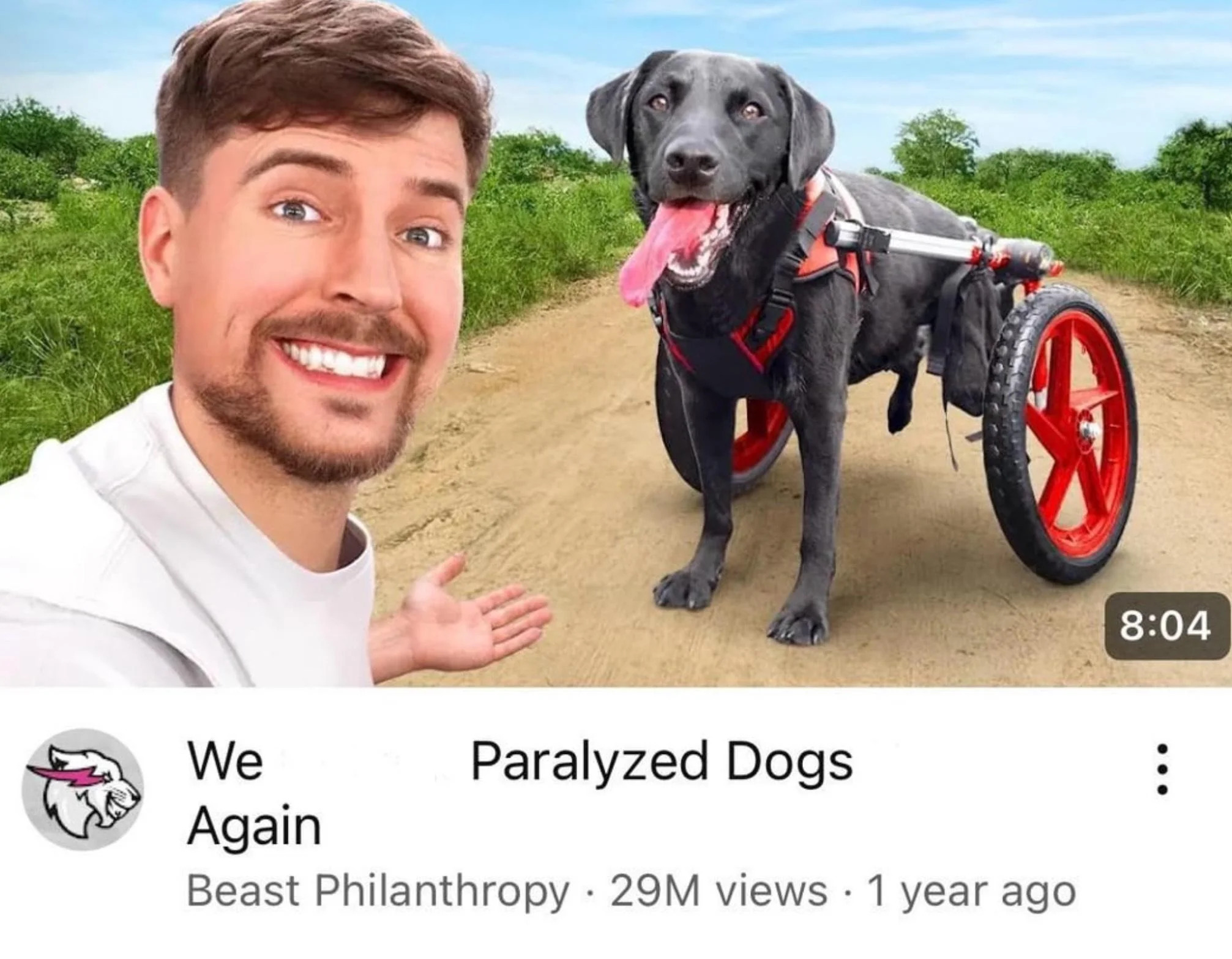 WE PARALYZED DOGS AGAIN Blank Meme Template