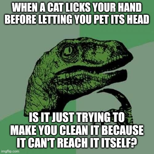 Hmmm... | WHEN A CAT LICKS YOUR HAND BEFORE LETTING YOU PET ITS HEAD; IS IT JUST TRYING TO MAKE YOU CLEAN IT BECAUSE IT CAN'T REACH IT ITSELF? | image tagged in memes,philosoraptor,i wonder,cats | made w/ Imgflip meme maker