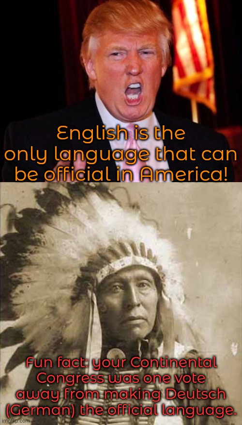 How would that have affected world War 1 & 2? | English is the only language that can be official in America! Fun fact: your Continental Congress was one vote away from making Deutsch (German) the official language. | image tagged in donald trump and native american,historical,american revolution,communication,european,immigrants | made w/ Imgflip meme maker