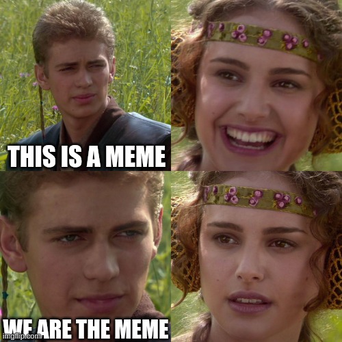 meme... | THIS IS A MEME; WE ARE THE MEME | image tagged in anakin padme 4 panel | made w/ Imgflip meme maker