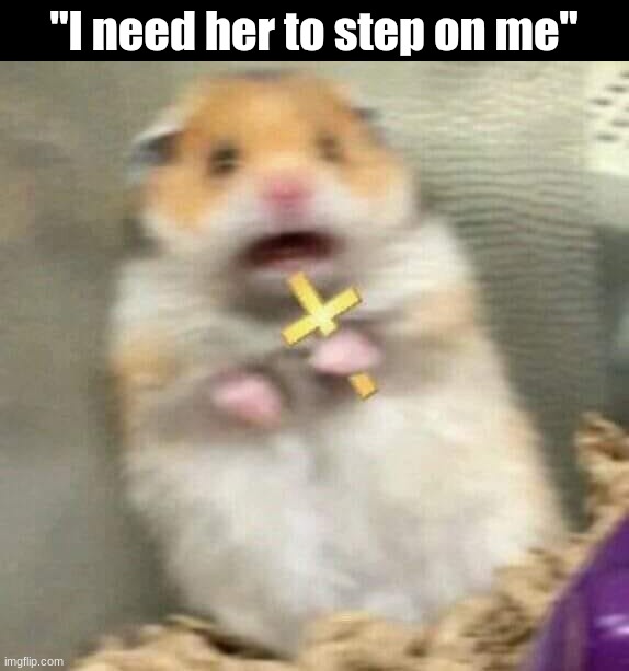 Everytime any person says that about a woman I get terrified for humanity | "I need her to step on me" | image tagged in scared hamster with cross | made w/ Imgflip meme maker