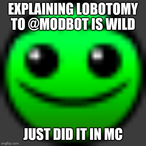 normal | EXPLAINING LOBOTOMY TO @MODBOT IS WILD; JUST DID IT IN MC | image tagged in normal | made w/ Imgflip meme maker