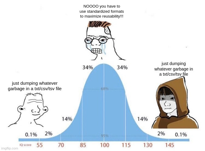 Bell Curve | NOOOO you have to use standardized formats to maximize reusability!!! just dumping whatever garbage in a txt/csv/tsv file; just dumping whatever garbage in a txt/csv/tsv file | image tagged in bell curve | made w/ Imgflip meme maker