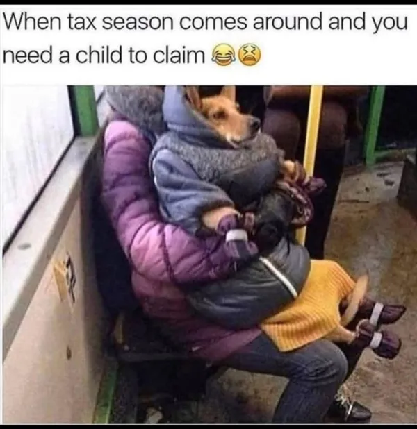 Liberals and the Weaponized IRS Blank Meme Template