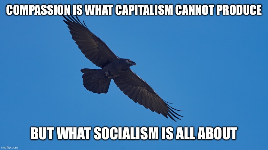 Compassion | COMPASSION IS WHAT CAPITALISM CANNOT PRODUCE; BUT WHAT SOCIALISM IS ALL ABOUT | image tagged in raven,compassion | made w/ Imgflip meme maker