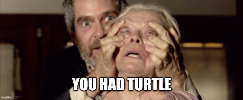 Open your eyes | YOU HAD TURTLE | image tagged in open your eyes | made w/ Imgflip meme maker