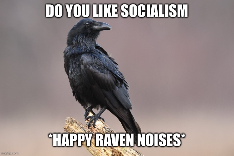 DO YOU LIKE SOCIALISM *HAPPY RAVEN NOISES* | made w/ Imgflip meme maker