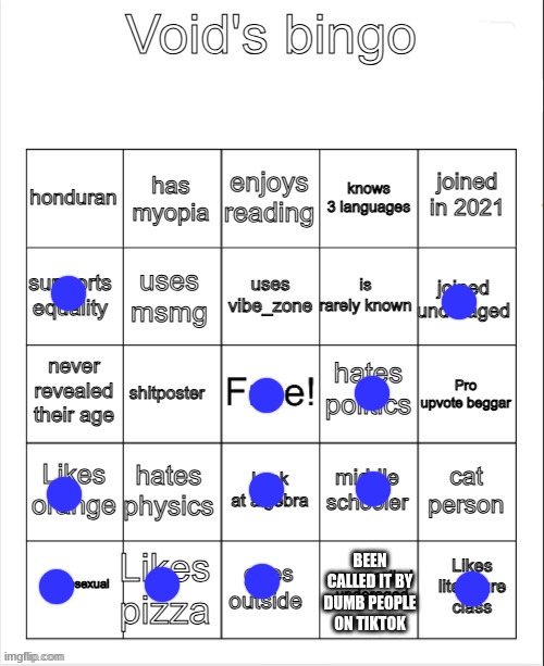 Void's bingo | BEEN CALLED IT BY DUMB PEOPLE ON TIKTOK | image tagged in void's bingo | made w/ Imgflip meme maker