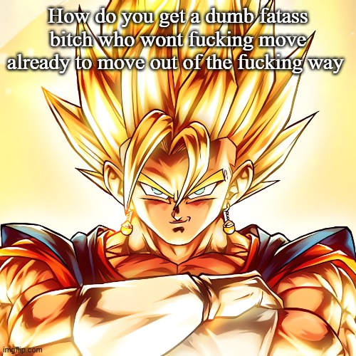 Vegito stanced tf up | How do you get a dumb fatass bitch who wont fucking move already to move out of the fucking way | image tagged in vegito stanced tf up | made w/ Imgflip meme maker