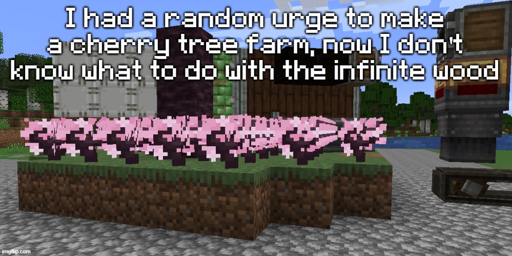 I had a random urge to make a cherry tree farm, now I don't know what to do with the infinite wood | made w/ Imgflip meme maker