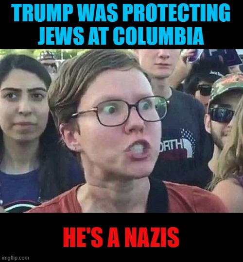 whats next, ovens? | TRUMP WAS PROTECTING JEWS AT COLUMBIA; HE'S A NAZIS | image tagged in triggered liberal,jews | made w/ Imgflip meme maker