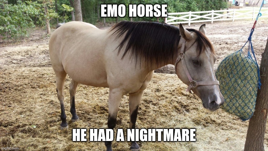 Emo horse | EMO HORSE; HE HAD A NIGHTMARE | made w/ Imgflip meme maker