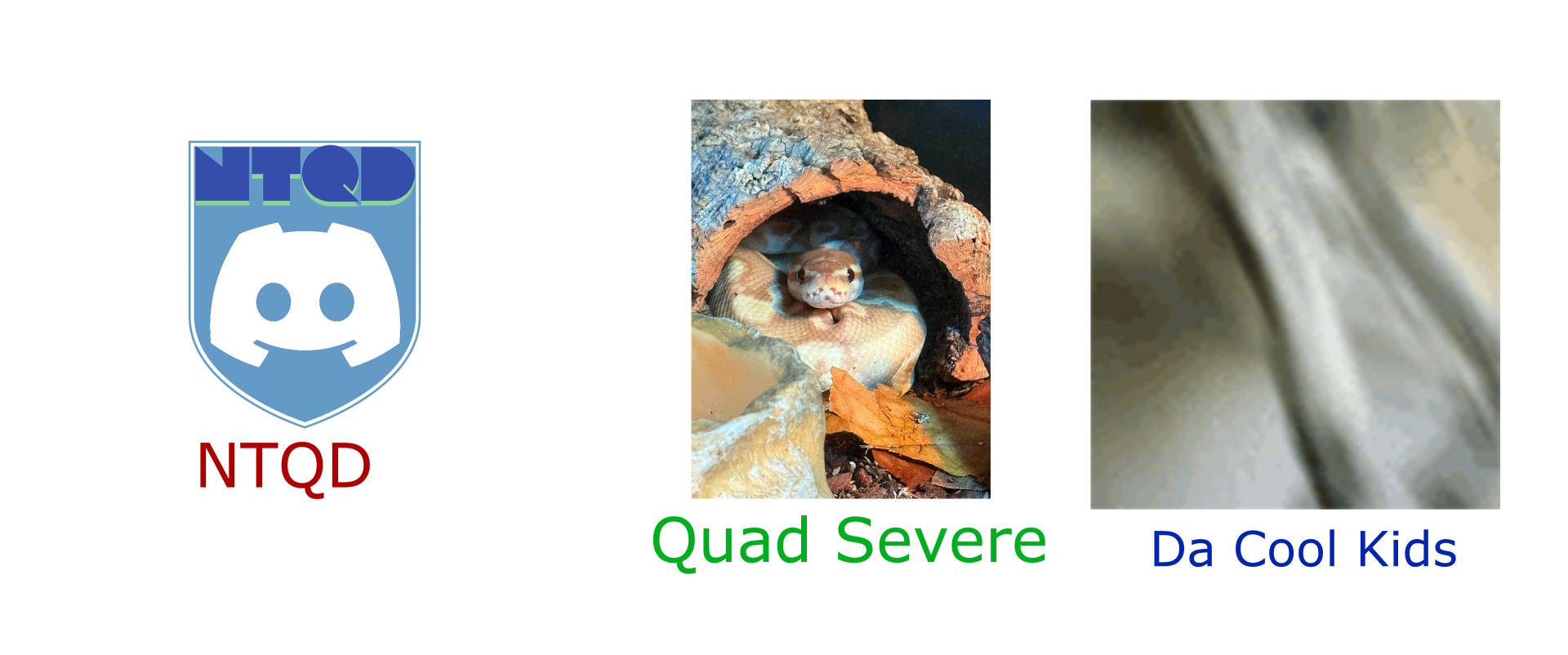 High Quality Quad Servers Template Blank Meme Template