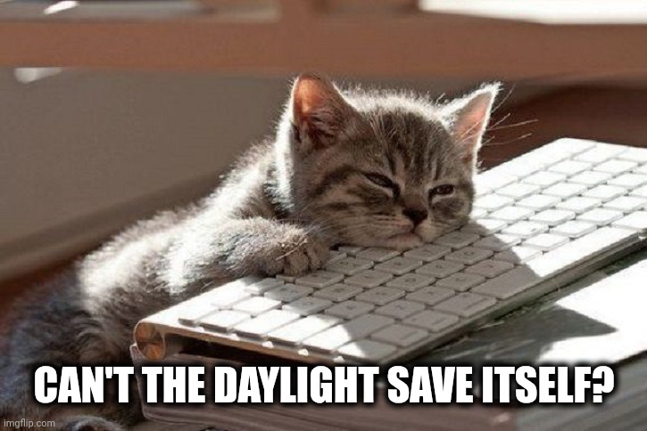 Daylight saving time | CAN'T THE DAYLIGHT SAVE ITSELF? | image tagged in too tired | made w/ Imgflip meme maker