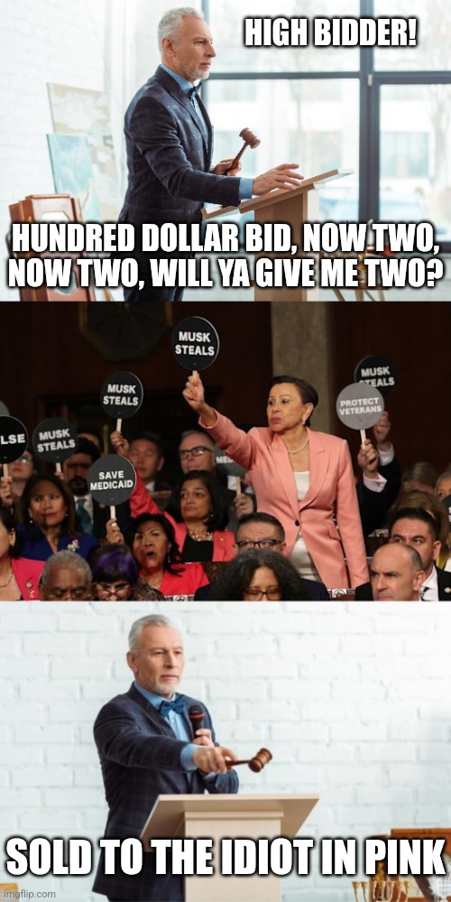 DEMOCRATS THINK THEY IN AN AUCTION | HIGH BIDDER! HUNDRED DOLLAR BID, NOW TWO, NOW TWO, WILL YA GIVE ME TWO? SOLD TO THE IDIOT IN PINK | image tagged in democrats,congress,president trump,politics | made w/ Imgflip meme maker